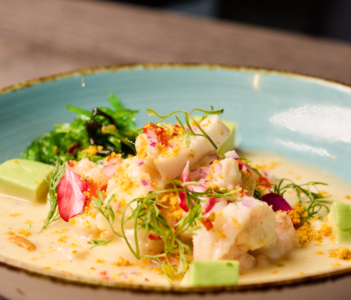 banner-web_Mesa de trabajo 1 copia